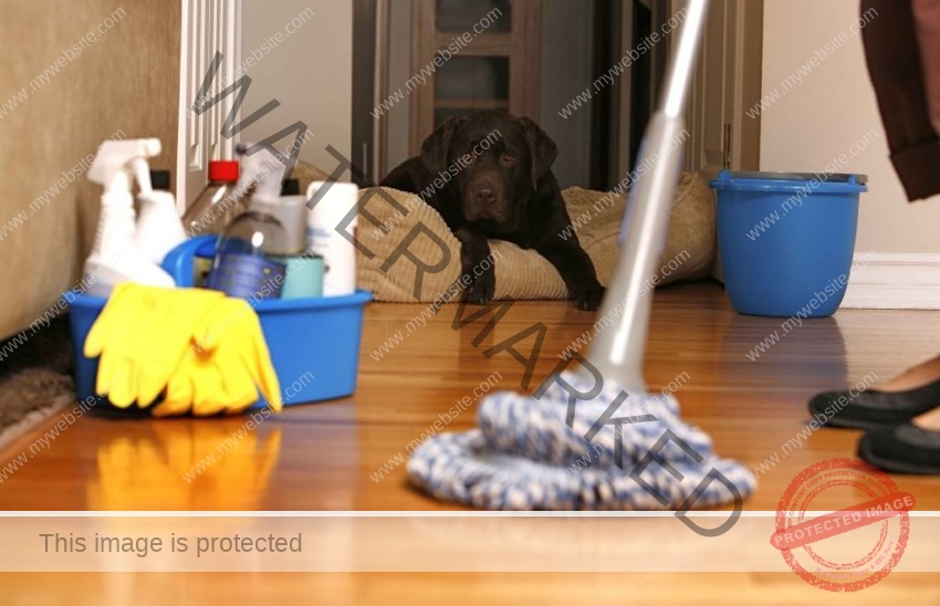 Benefits of Pet Safe Cleaning Supplies