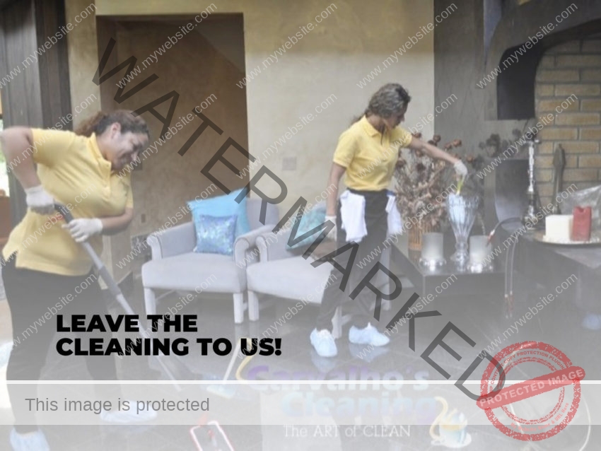 Leave the Cleaning to Us 1 e1588365108721