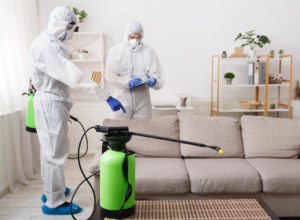 cleaning company making treatment of sofas and sur T5NJE7X