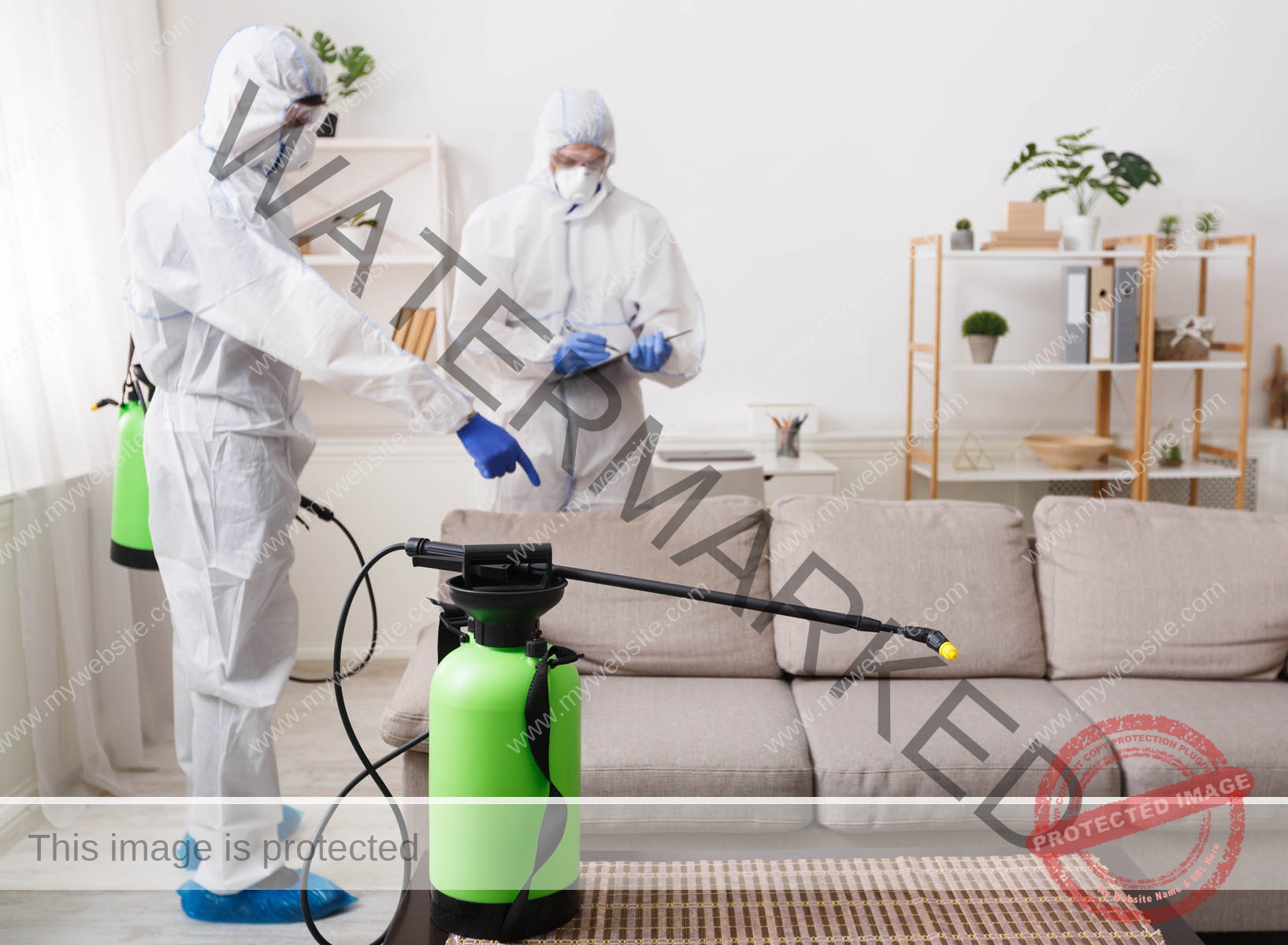 cleaning company making treatment of sofas and sur T5NJE7X